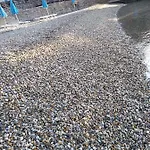 Salus, Maruna Lägenhet Opatija