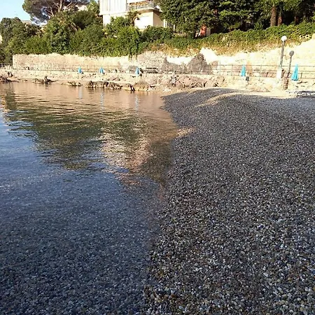 Salus, Maruna *