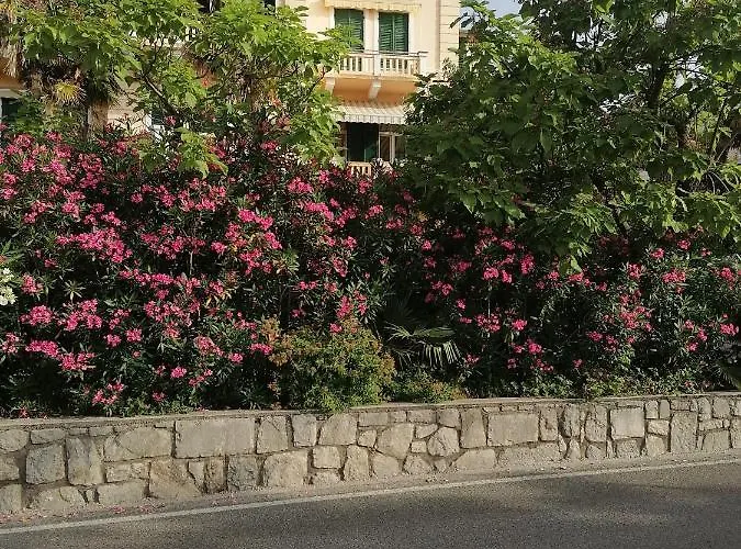 Salus, Maruna Apartment